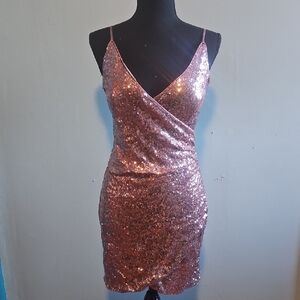 Trixxi Sparkling Rose Mini Dress